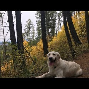 Meet your Posher, Sierra